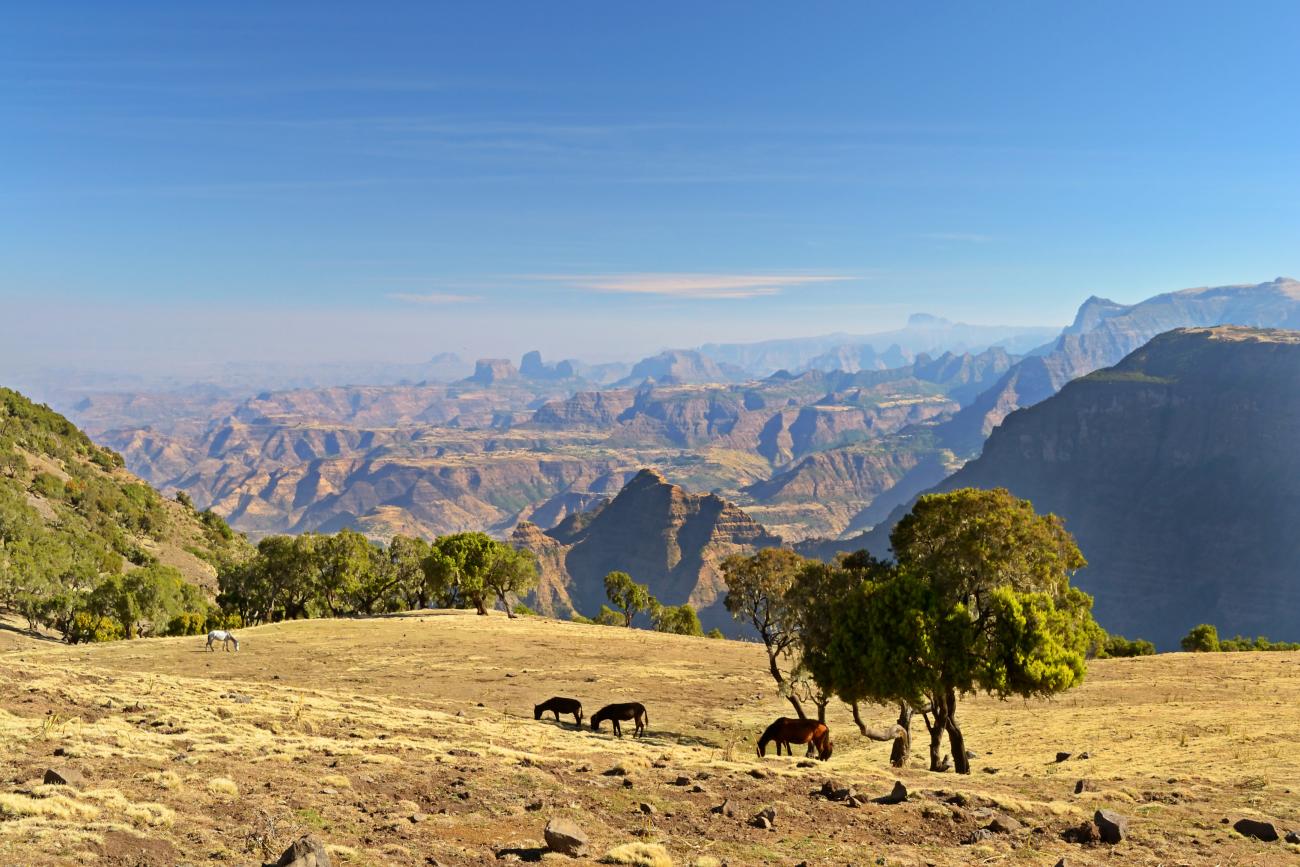 Explore The Simien Mountains in Ethiopia